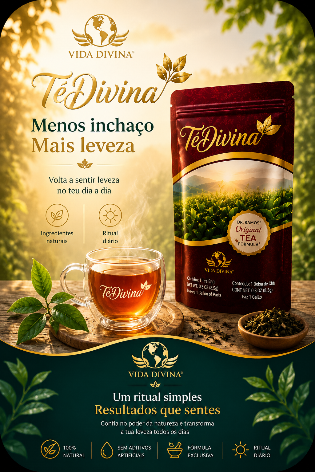 TéDivina — Vida Divina